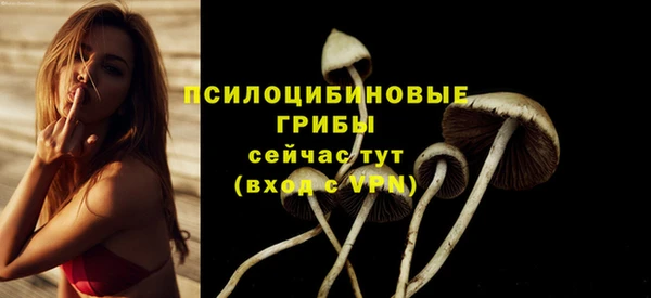 ешки Верея