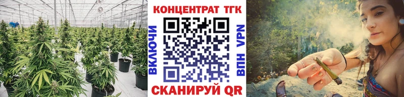 Дистиллят ТГК Wax  Купить где  Камешково 